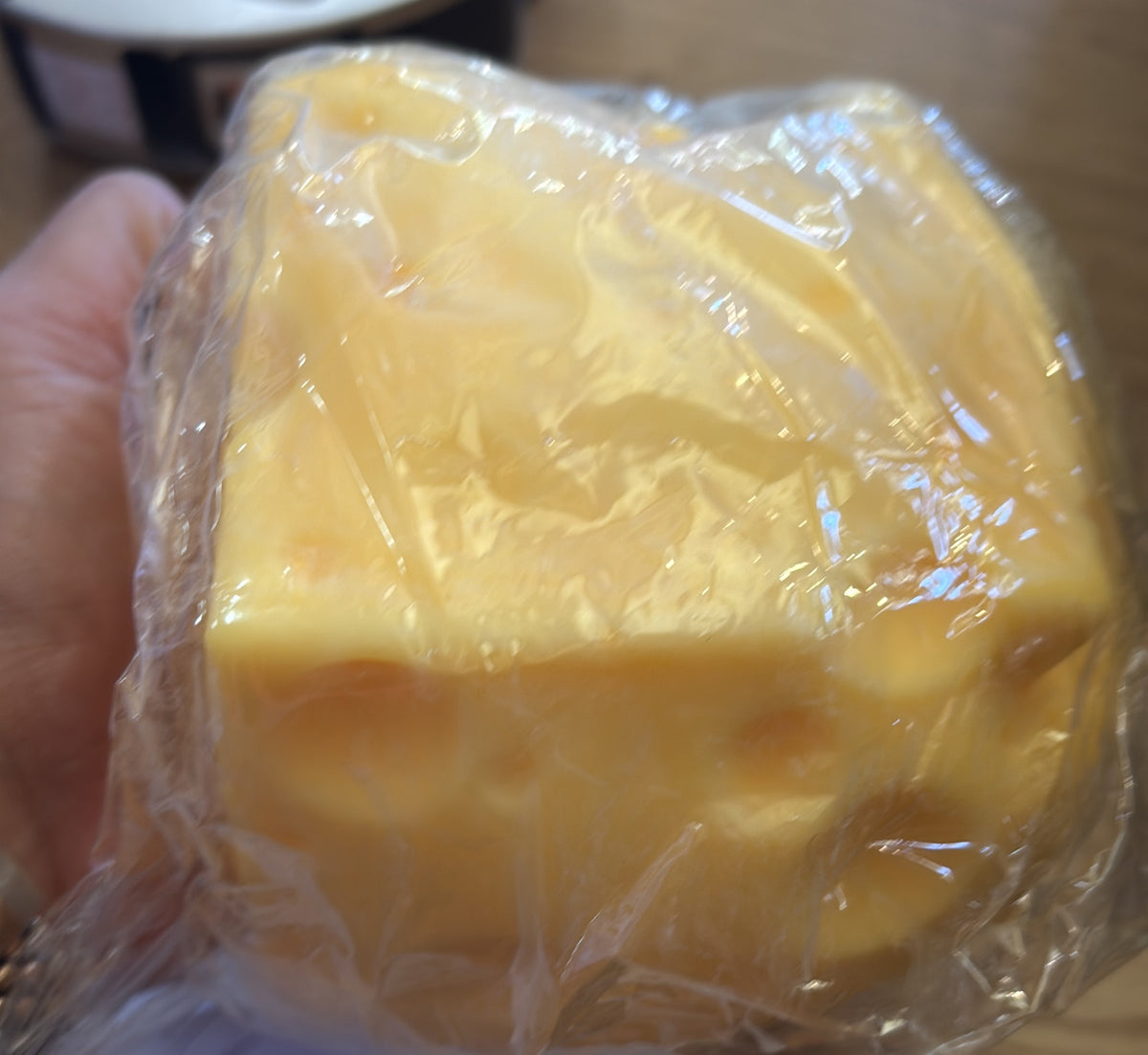 Giant Cheese Squishy